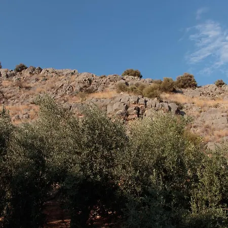 Nafpliobiofarms Country Appartement Nauplie