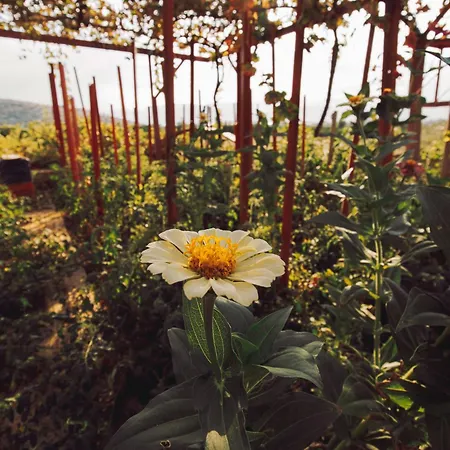 Appartamento Nafpliobiofarms Country Nauplia