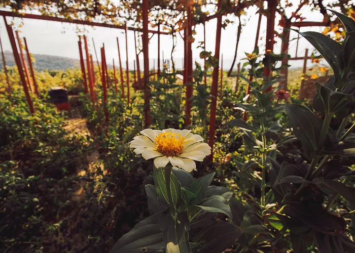 Lägenhet Nafpliobiofarms Country Nafplion