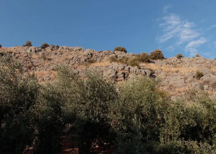 Nafpliobiofarms Country Lägenhet Nafplion