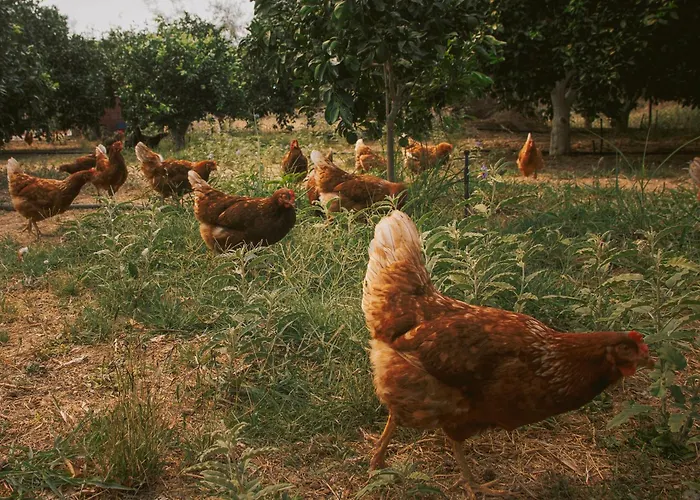 Nafpliobiofarms Country Nauplie