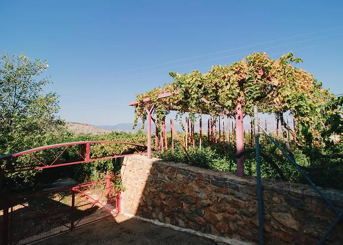 Nafpliobiofarms Country * Nafplion